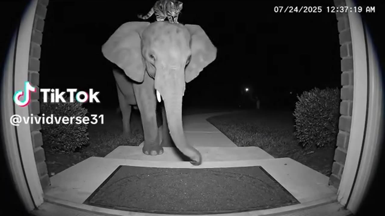 Do you think their friendship will last