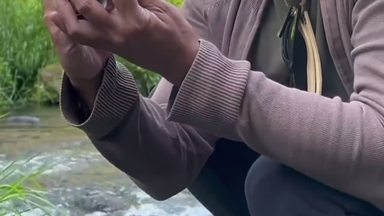 🌿😂 Nature's Got Some Jokes Too! | FunFM