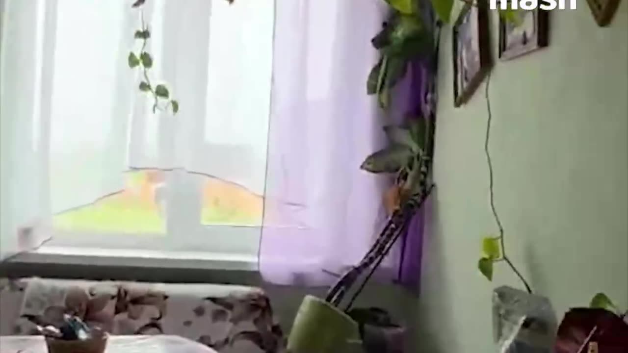 A powerful earthquake with a magnitude of 8.7 occurred in Kamchatka