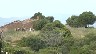 Police comb vast area of Portugal's Algarve in Madeleine McCann case