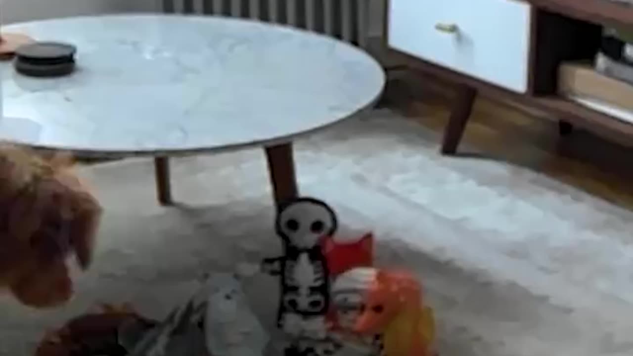 Love All Life Always #101 - Nice Laugh And Some Great Editing!