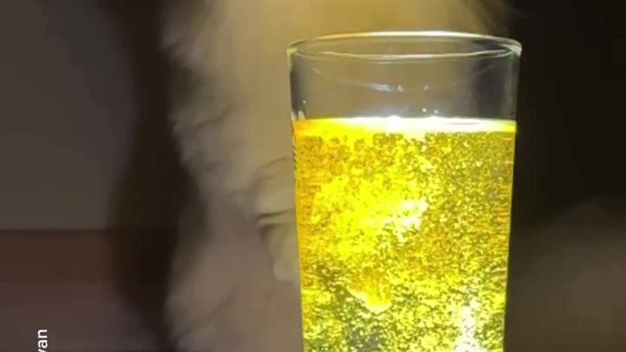 Magic videos