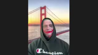 Unexpected Puppies! Max Capacity Reached with Golden Gate Backdrop