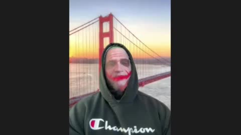 Unexpected Puppies! Max Capacity Reached with Golden Gate Backdrop