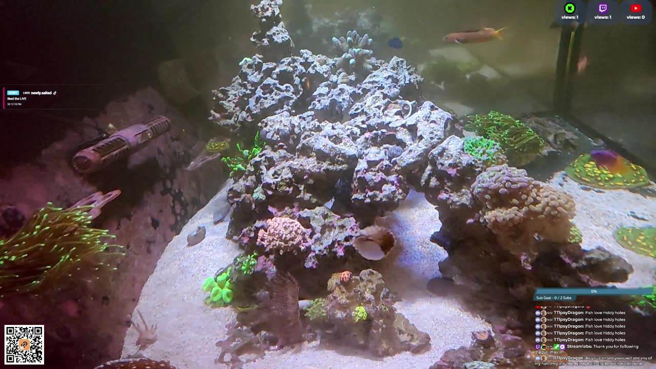 24/7 Real Live Reef Stream