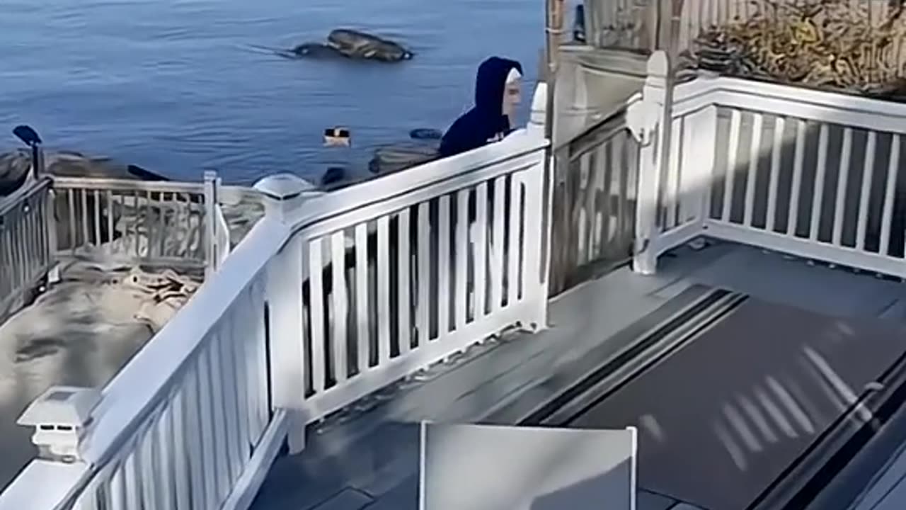 This time you cant stop