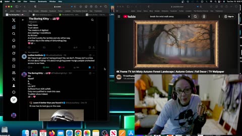 THe BoRinG KiTty - SZN WTF - ARTILY Got U