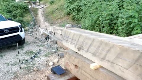 Milling 16 foot long 8x8" oak beam with chainsaw mill