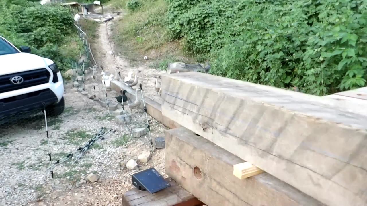 Milling 16 foot long 8x8" oak beam with chainsaw mill