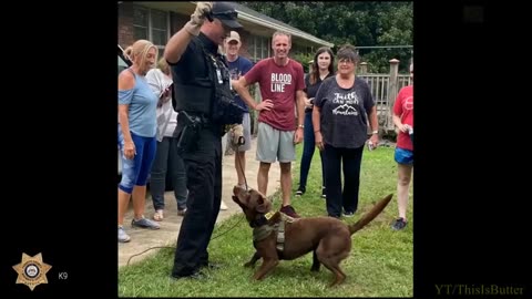 BODYCAM: Forsyth K-9 Helps Find Missing Elderly Woman Lost In The Woods