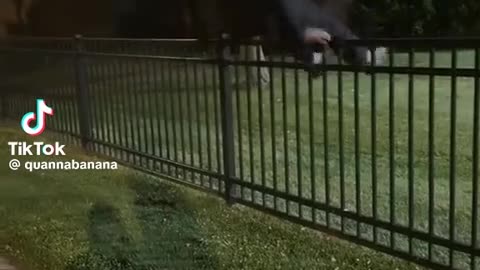 😂🤦 You Won't Believe This Fence Scaling Fail! | FunFM