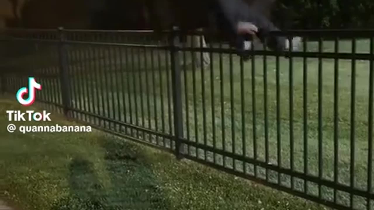 😂🤦 You Won't Believe This Fence Scaling Fail! | FunFM