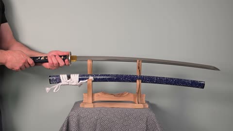 Shadow Dancer Lite: Budget Beast or Premium Power? I Test Both on Swordis!