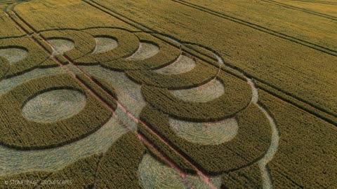 Crop Circle | Ware Farm Manor, Nr Lyme Regis, Devon | Reported 28/06/25