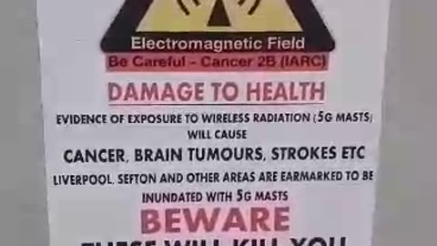 5G DOG LIVERPOOL UK HELP FFS