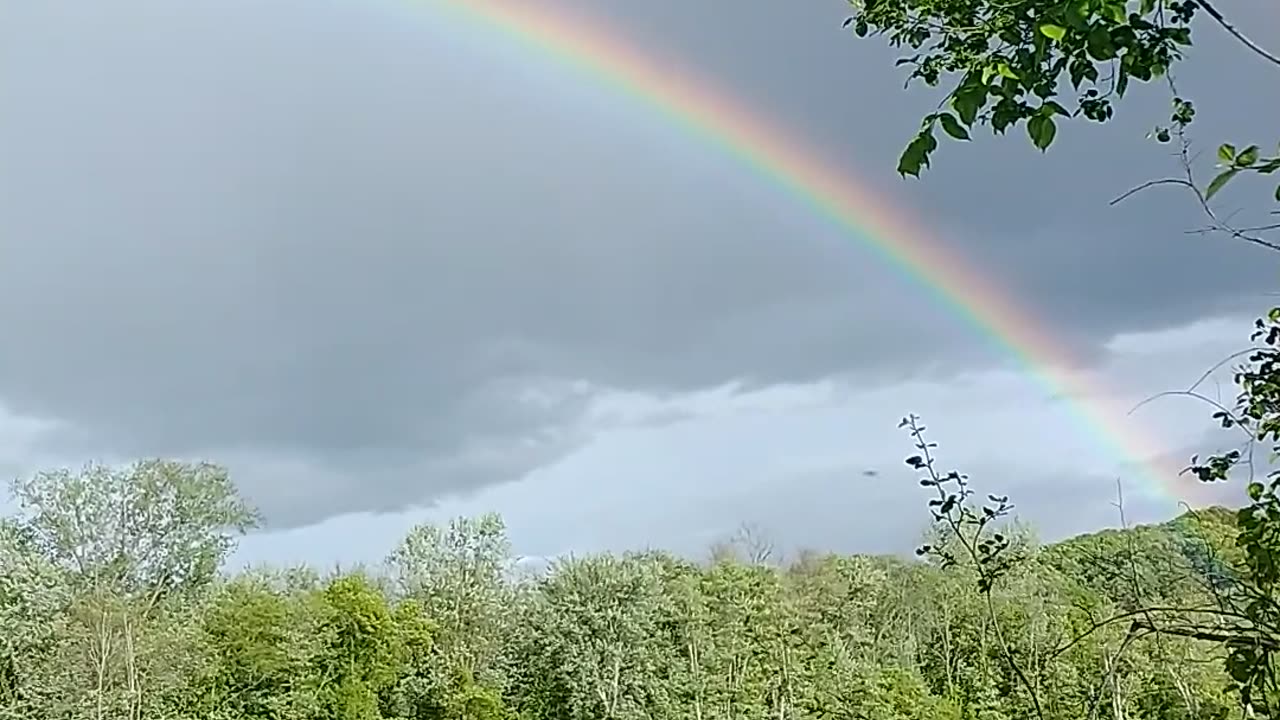 Rainbow