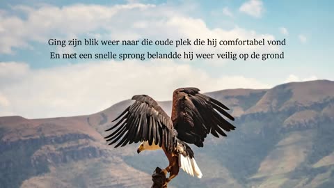 Christian Verwoerd - De Arend