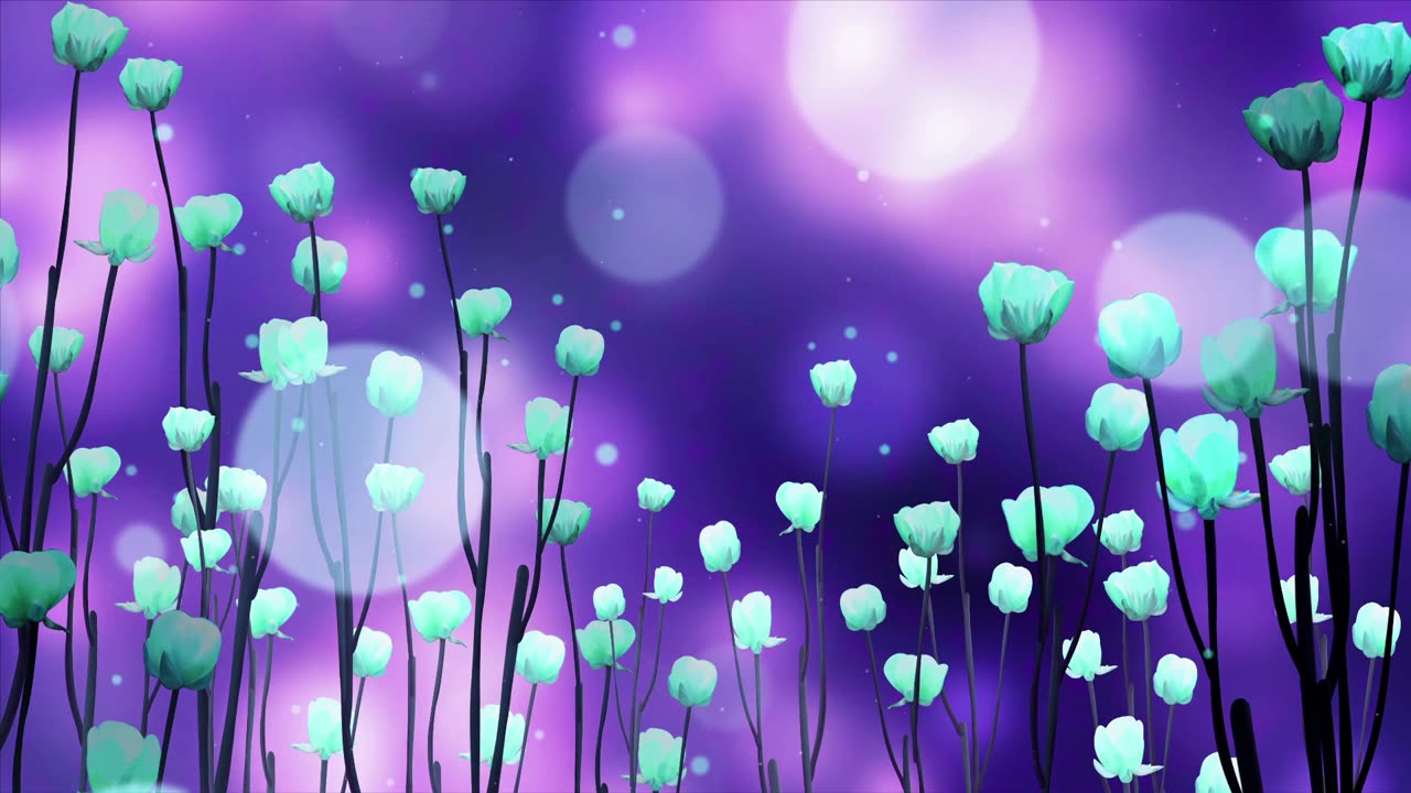 Hip Hop LoFi - Calming and Relaxing