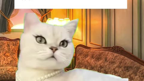 POV: Me, the second I put on my crystal necklace #crystaljewellery #crystaladdict