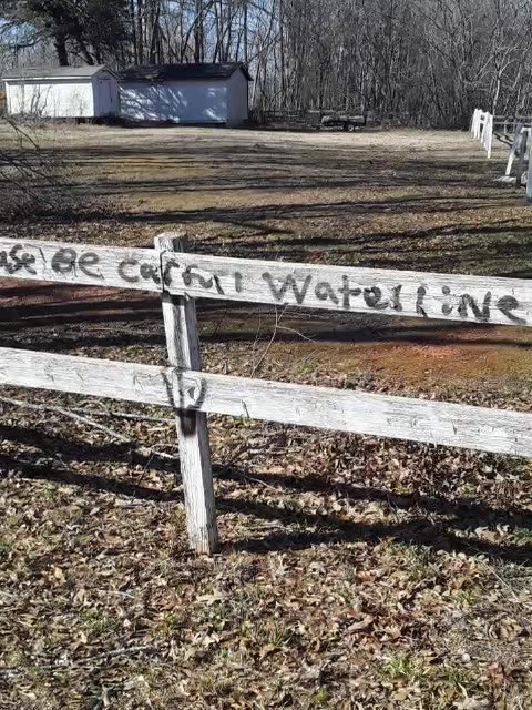 Smarmy Yankee Neighbor