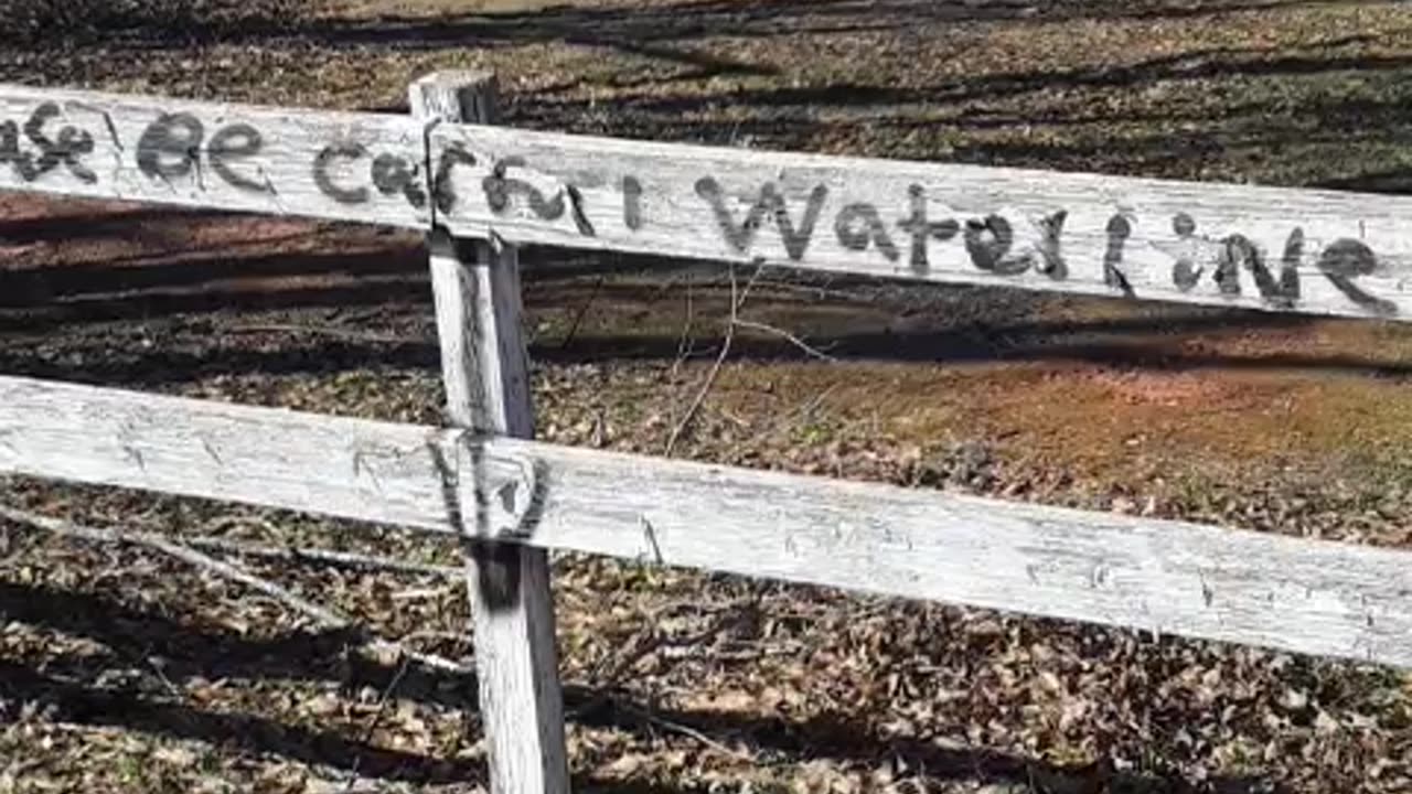 Smarmy Yankee Neighbor