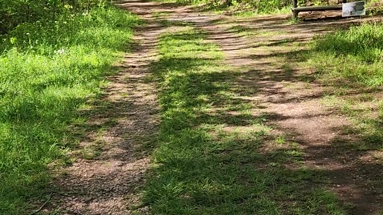 FREDWARD THE SUPER DOG š