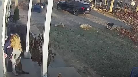 Connecticut mom rescues 5-year-old daughter from raccoon attack