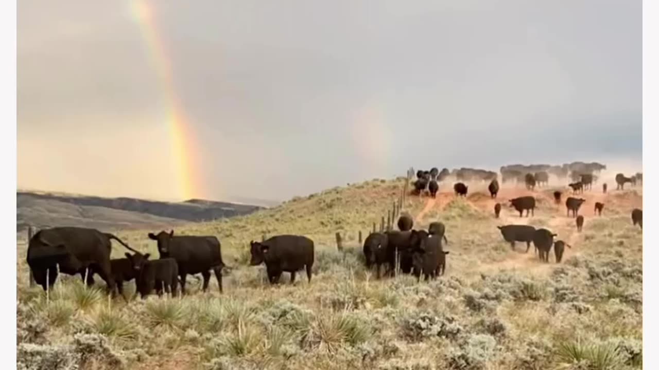 Soil is the Great Connector of Life. And we take it serious at cartercountrymeats.com