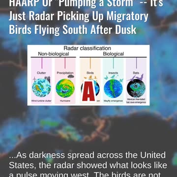 Fact Check: Radar Does NOT Show East Coast Getting Blasted By HAARP Or "Pumping a Storm" -- Birds