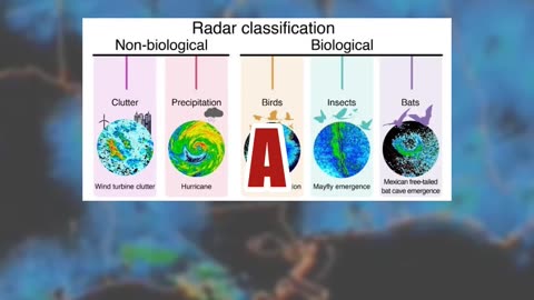Fact Check: Radar Does NOT Show East Coast Getting Blasted By HAARP Or "Pumping a Storm" -- Birds