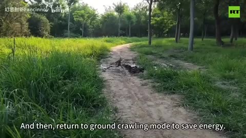 China's new chameleon spy-copter crawls & sticks to walls to 'stealth snoop