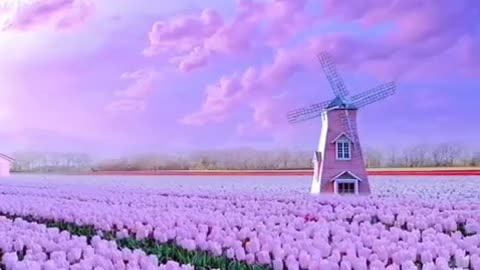 Life and Love are the powerful force that makes everything exist in the Universe.