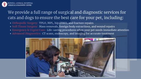 Expert Veterinary Care at Howell Animal Hospital in Monmouth County, NJ
