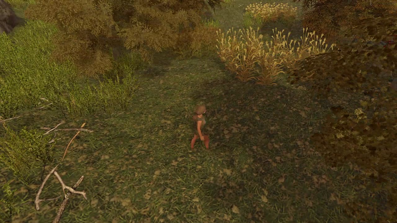 Dawn of Man
