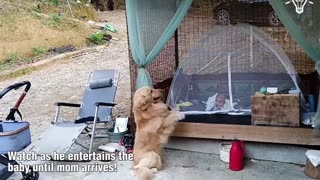 A furry friend takes care of the baby!