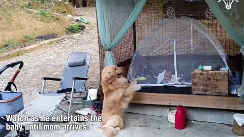 A furry friend takes care of the baby!