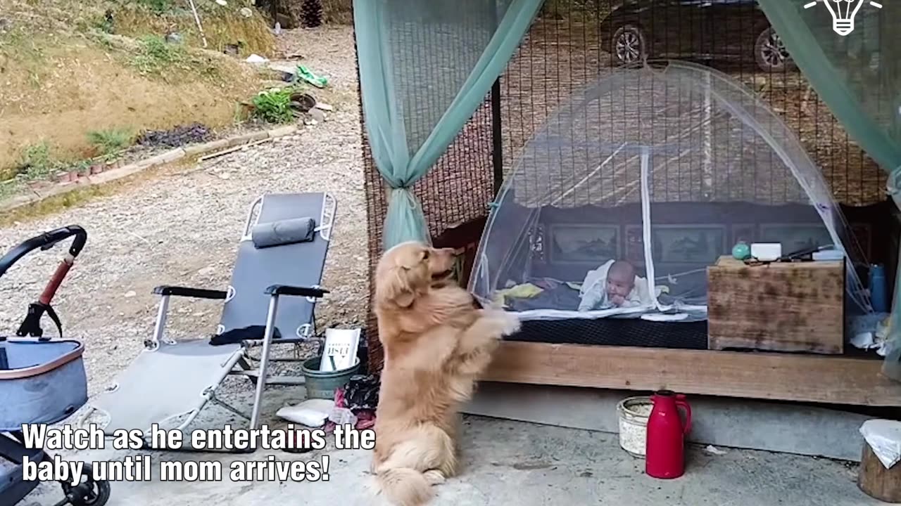 A furry friend takes care of the baby!