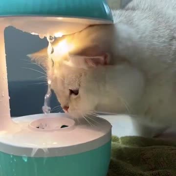 What is this sorcery? 😂