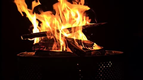 Daily Horoscope | Aries 🌟