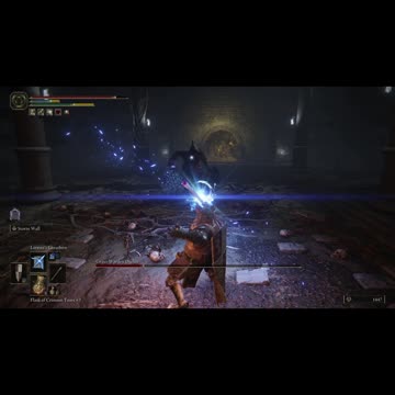 Elden Ring PC | Grave Warden Duelist boss fight in Murkwater Catacombs, solo on NG #gaming #shorts