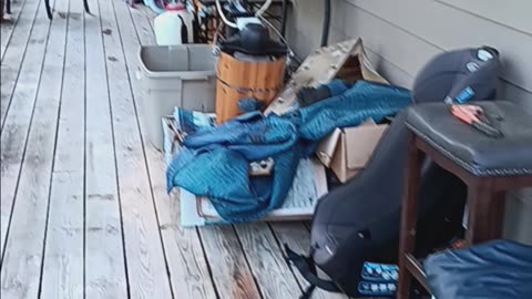 Back Porch Before Cleaning