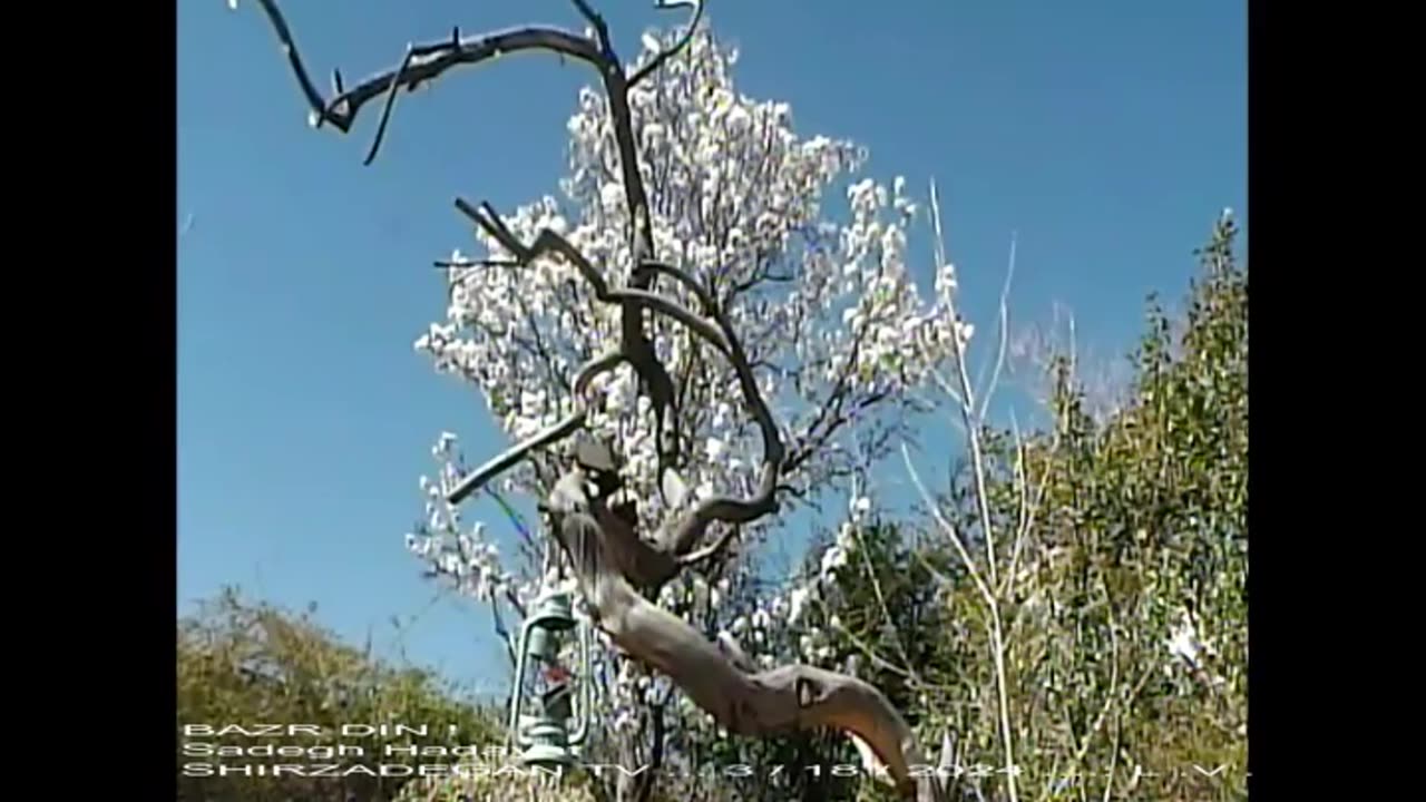 بذر دین, صادق هدایت