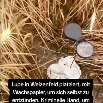 Feuer Waldbrände gelegt