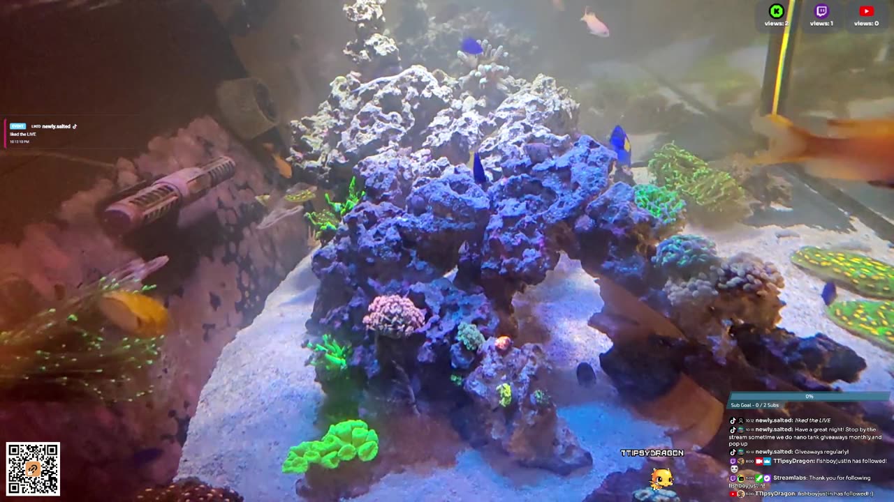 24/7 Real Live Reef Stream