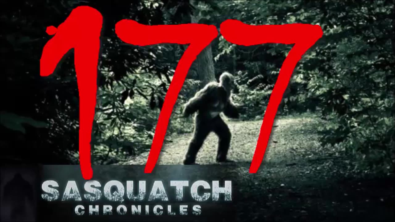 Sasquatch Chronicles Podcast: Todd Standing Almost Gets Blasted Impersonating a Sasquatch