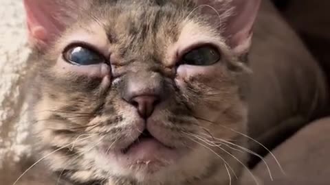 😂👿 Evil Gumbus Strikes Again! | FunFM
