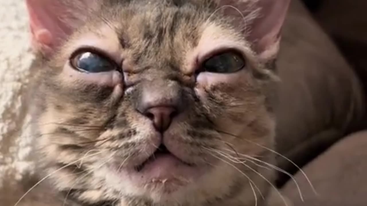 😂👿 Evil Gumbus Strikes Again! | FunFM