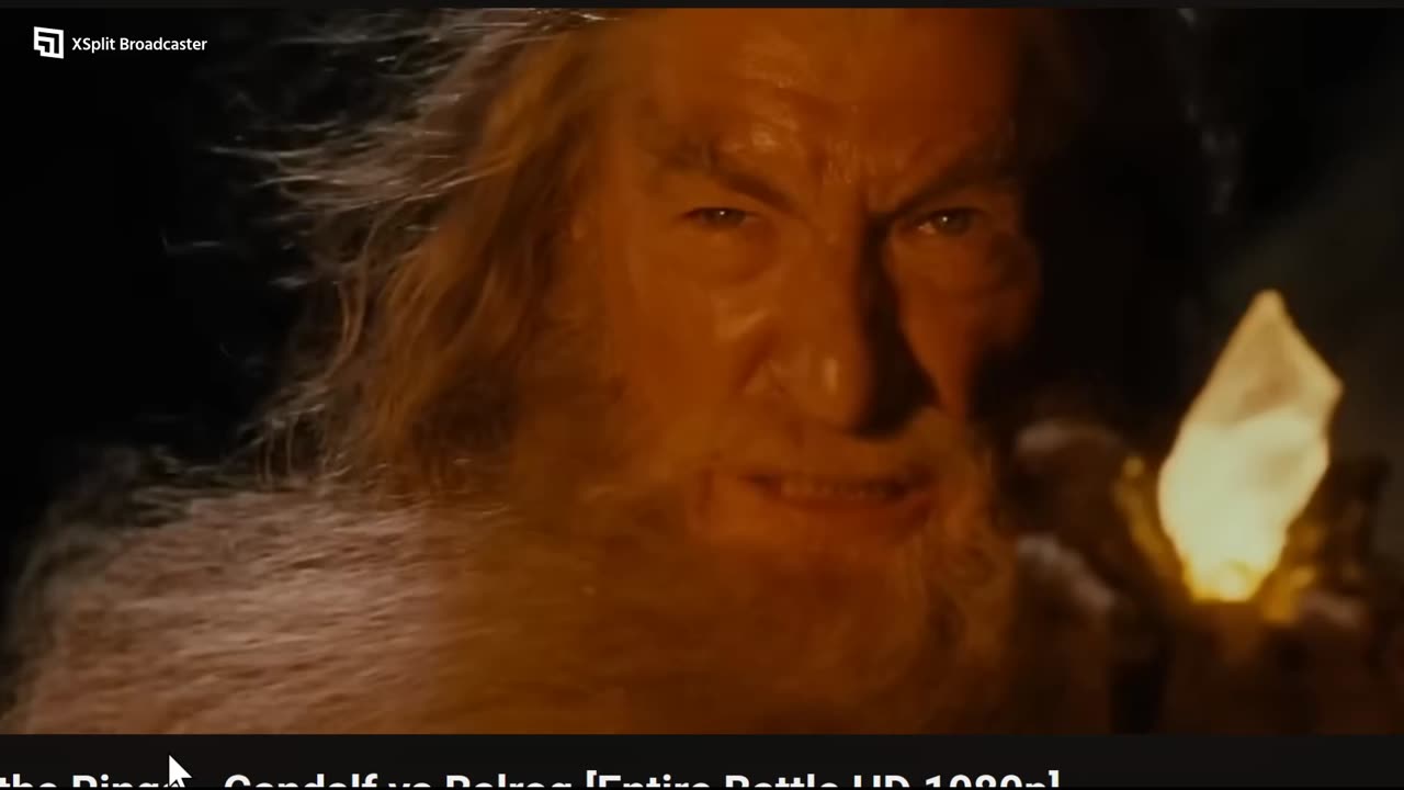 LOTR FELLOWSHIP OF THE RING (#song FOOL OF A TOOK)