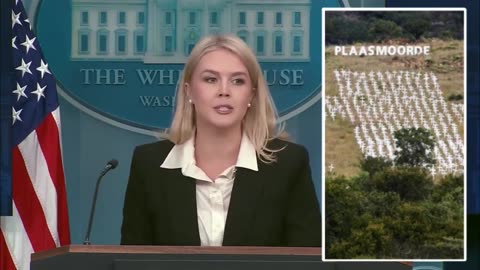 Karoline Leavitt SMACKS DOWN Liberal Reporter's Anti-White Screed