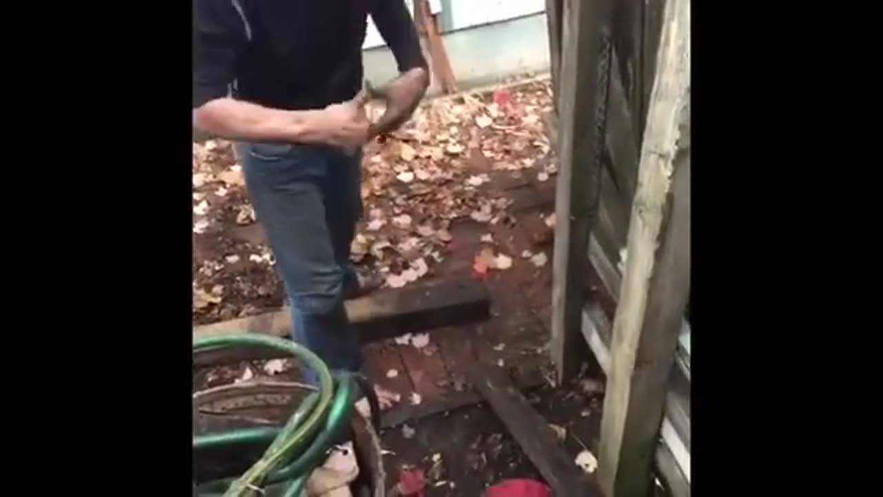 privileged white peoples problems